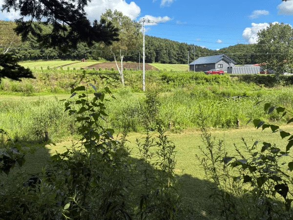 泉郷別邸、四角オートサイトから見える風景