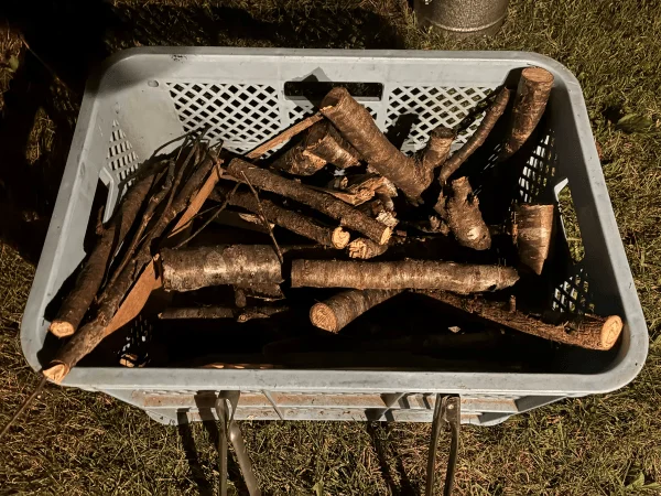 泉郷別邸、薪があるときは自由に使えます。