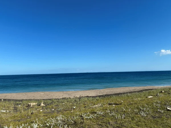 恵山海浜公園キャンプ場の海が見えるロケーション
