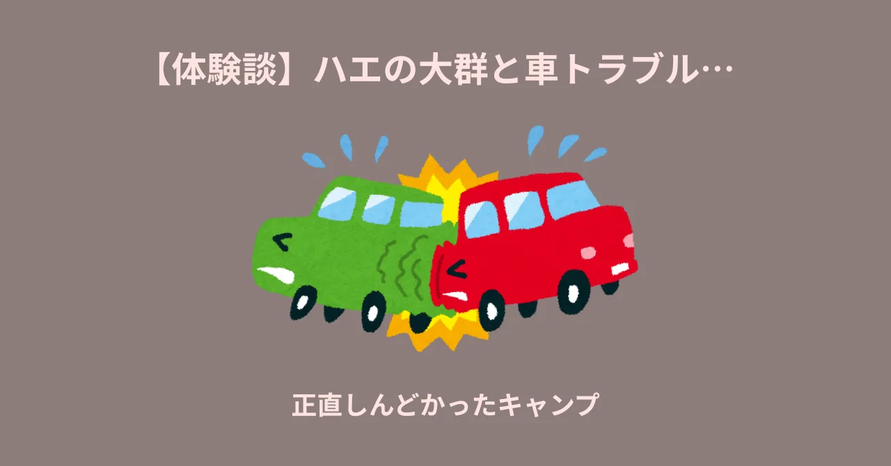 【体験談】ハエの大群と車トラブル…正直しんどかったキャンプの話