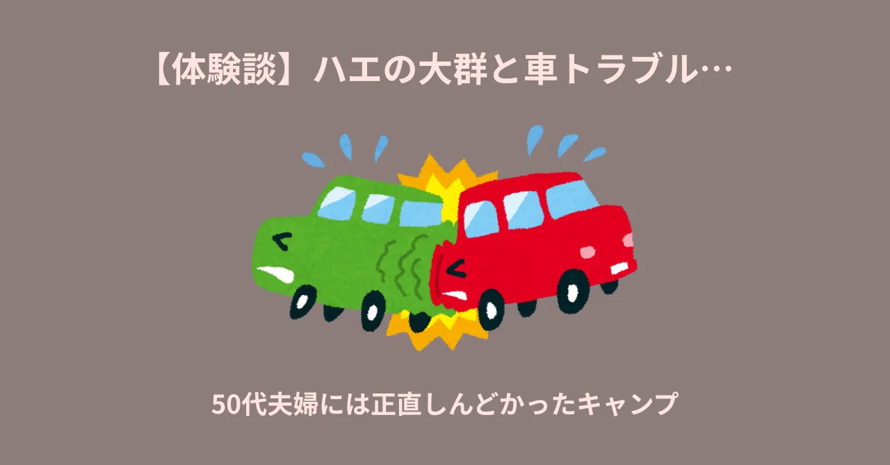 【体験談】ハエの大群と車トラブル…50代夫婦には正直しんどかったキャンプ