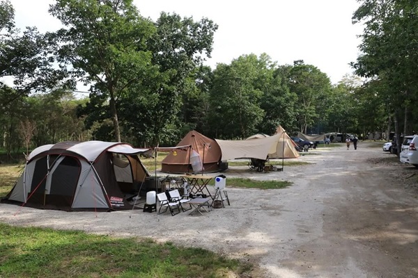 ブウベツ森キャンプ場オートサイト