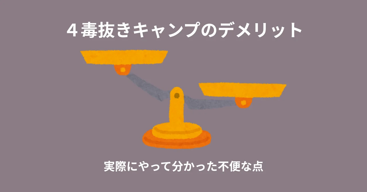 ４毒抜きキャンプのデメリット｜実際にやって分かった不便な点まとめ