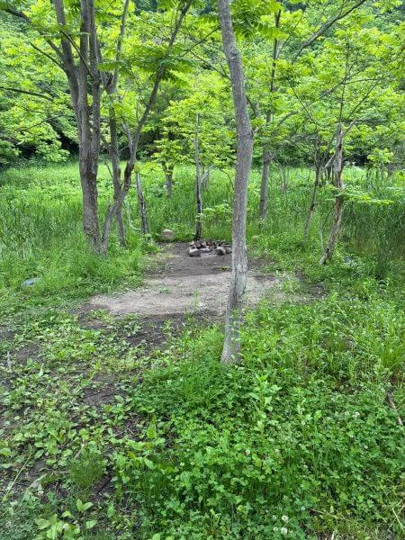 湯の元温泉キャンプ場すぎうらんど
一番人気のフィールド