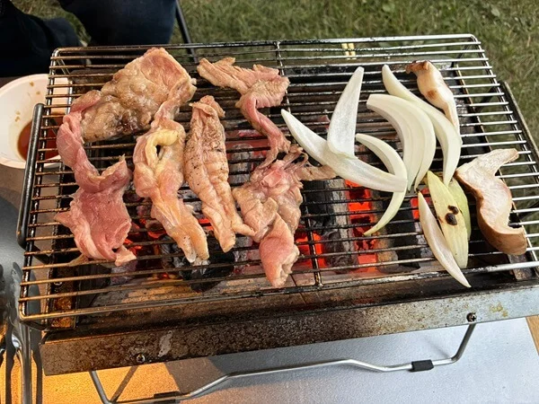 いつもの焼肉です。
ラムと鶏の生せせり